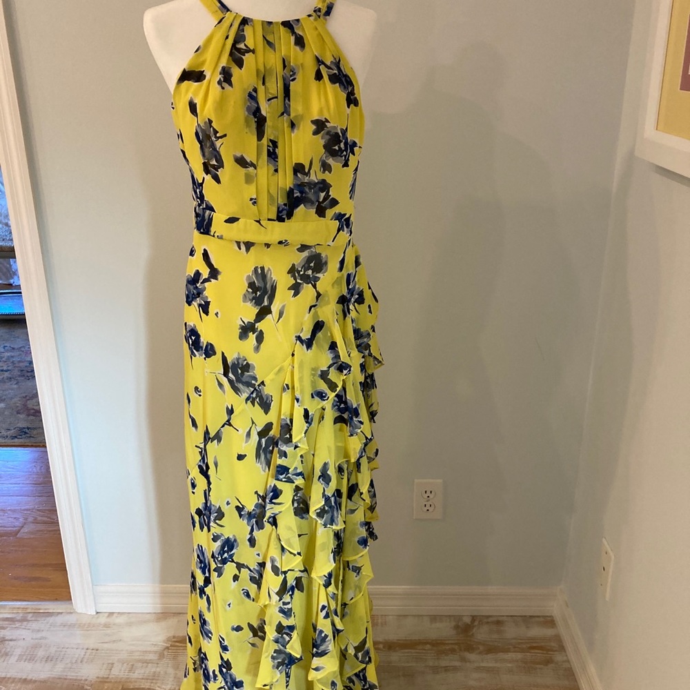 Eliza J stunning dress.